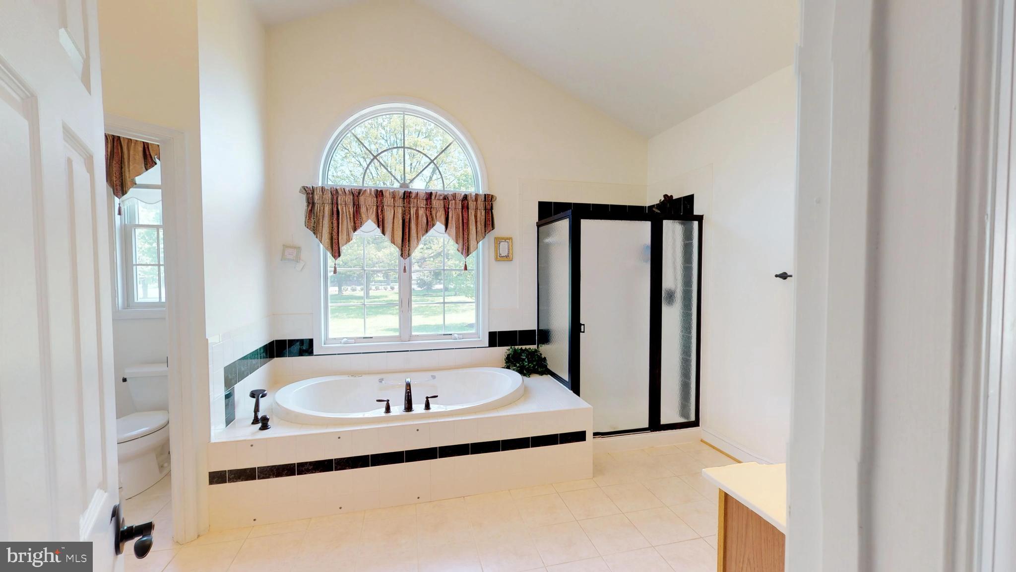 13785 Waverly Point Road Newburg, MD 20664 - Photo 37 of 65 Main Level - Master Bathroom - Jetted Tub