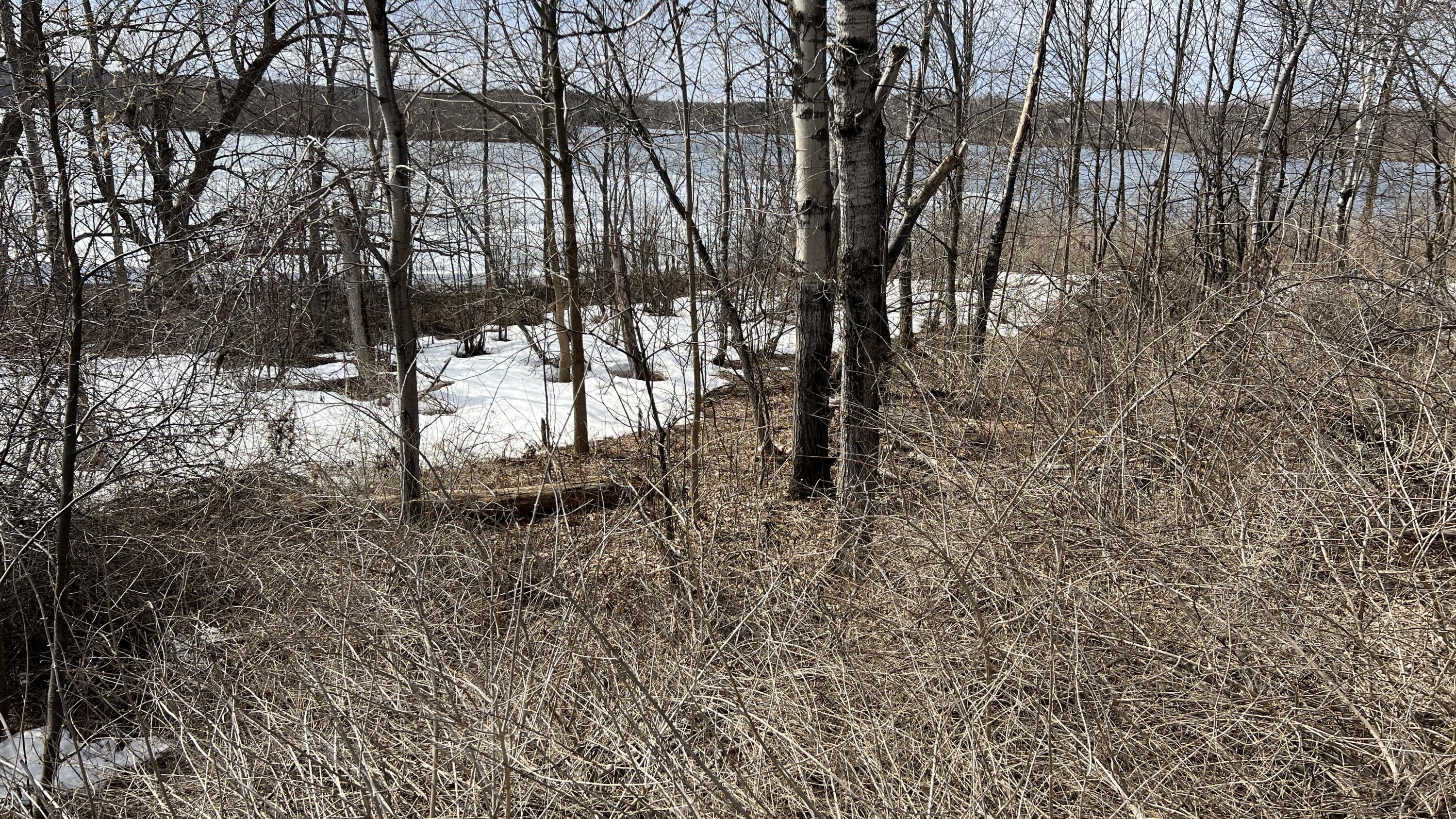 100 Lake Roxanne Road Ellenburg Depot, NY 12935 - Photo 4 of 5 Gallery Image 4