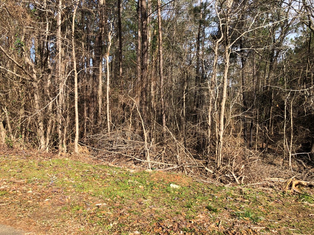Lot 16 Ridgeway Drive Cataula, GA 31804 - Photo 2 of 5 Gallery Image 2