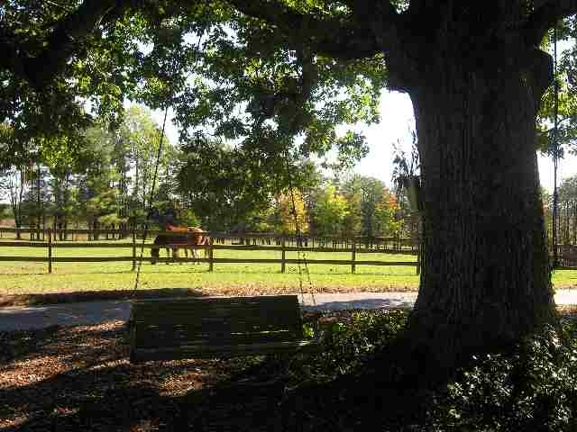 655 Alverson Road Campobello, SC 29322 - Photo 14 of 18