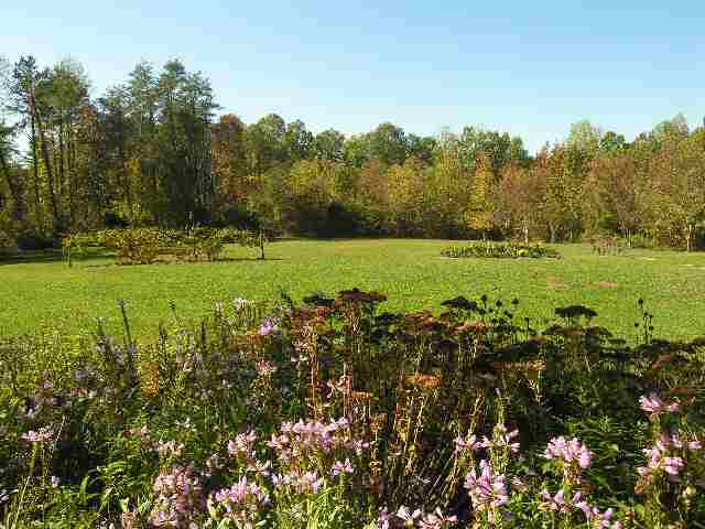 655 Alverson Road Campobello, SC 29322 - Photo 15 of 18