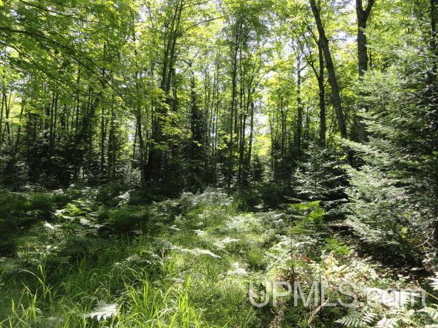 Tbd Tbd Vicks Road Lanse, MI 49946 - Photo 14 of 18