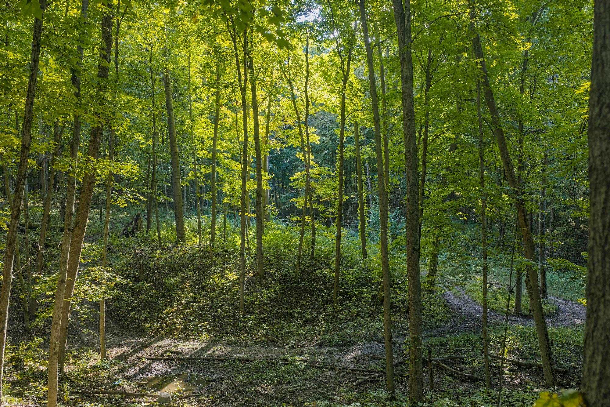 E10919 Hatchery Road Baraboo, WI 53913 - Photo 59 of 62 Gallery Image 59
