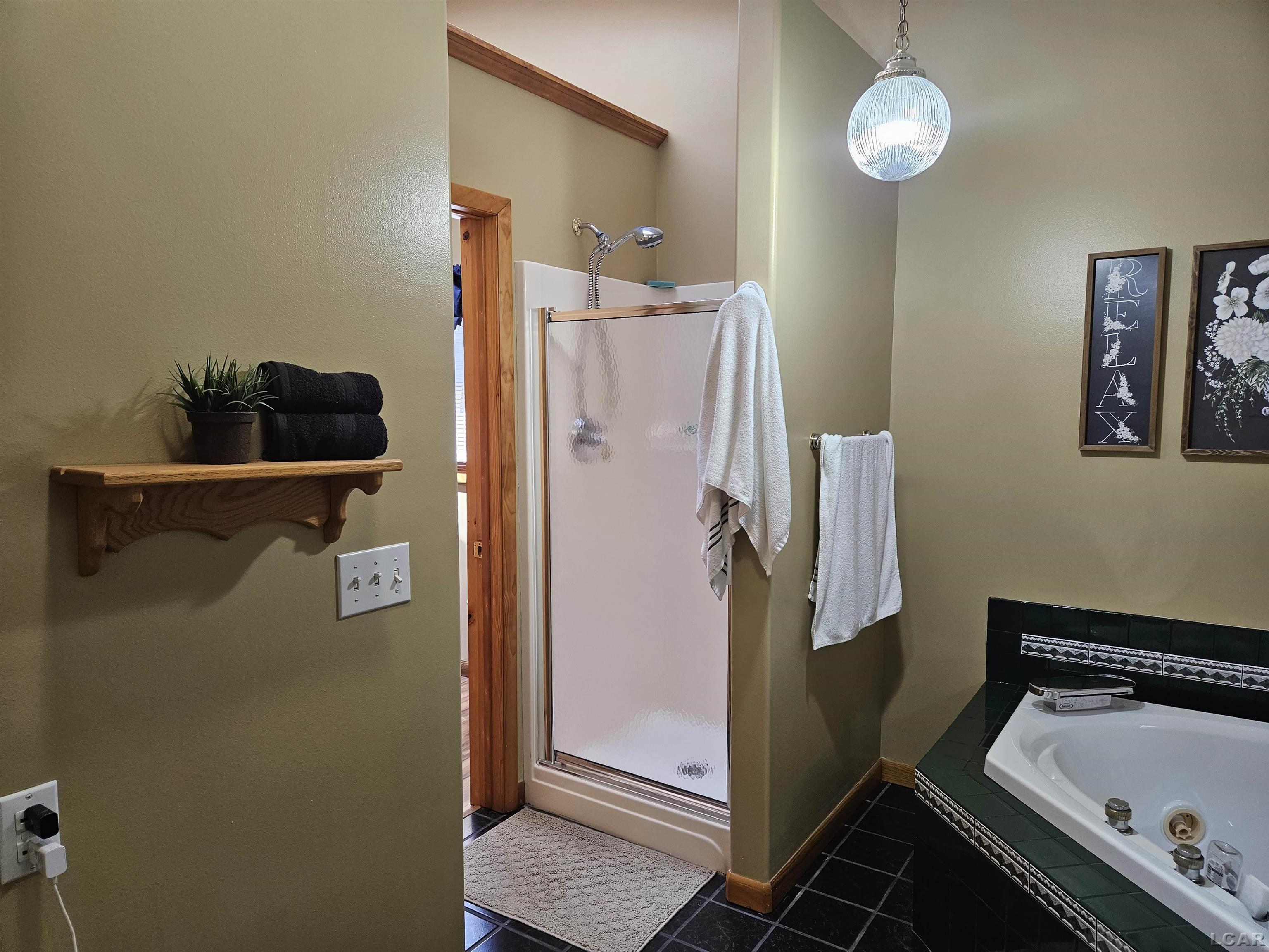 1685 East Carleton Road Adrian, MI 49221 - Photo 40 of 47 50109481-39.JPG
