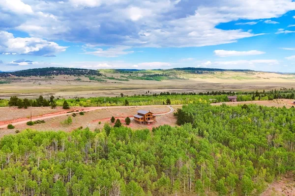 $1,250,000 | 31 Buzzsaw Lane, Fairplay, CO 80440