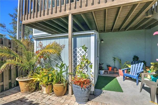 a potted plant sitting in front of a house