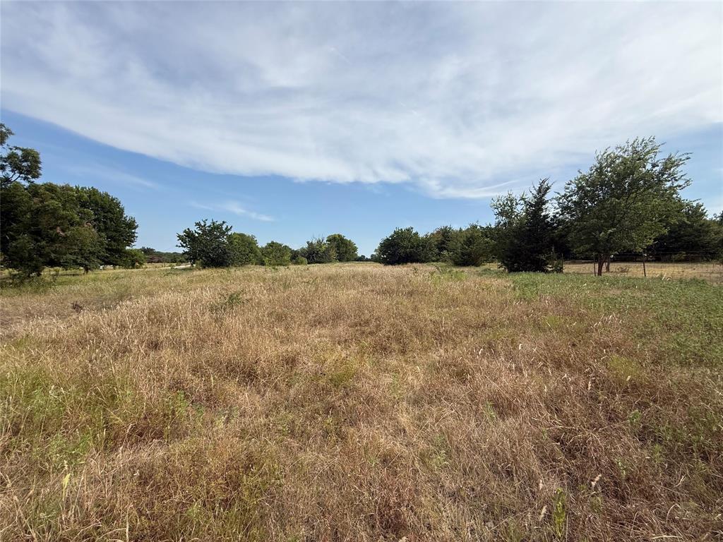 Tbd Rose Hill Road Whitewright, TX 75491 - Photo 7 of 12 Gallery Image 7