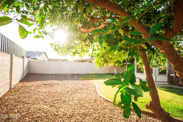 a view of a yard