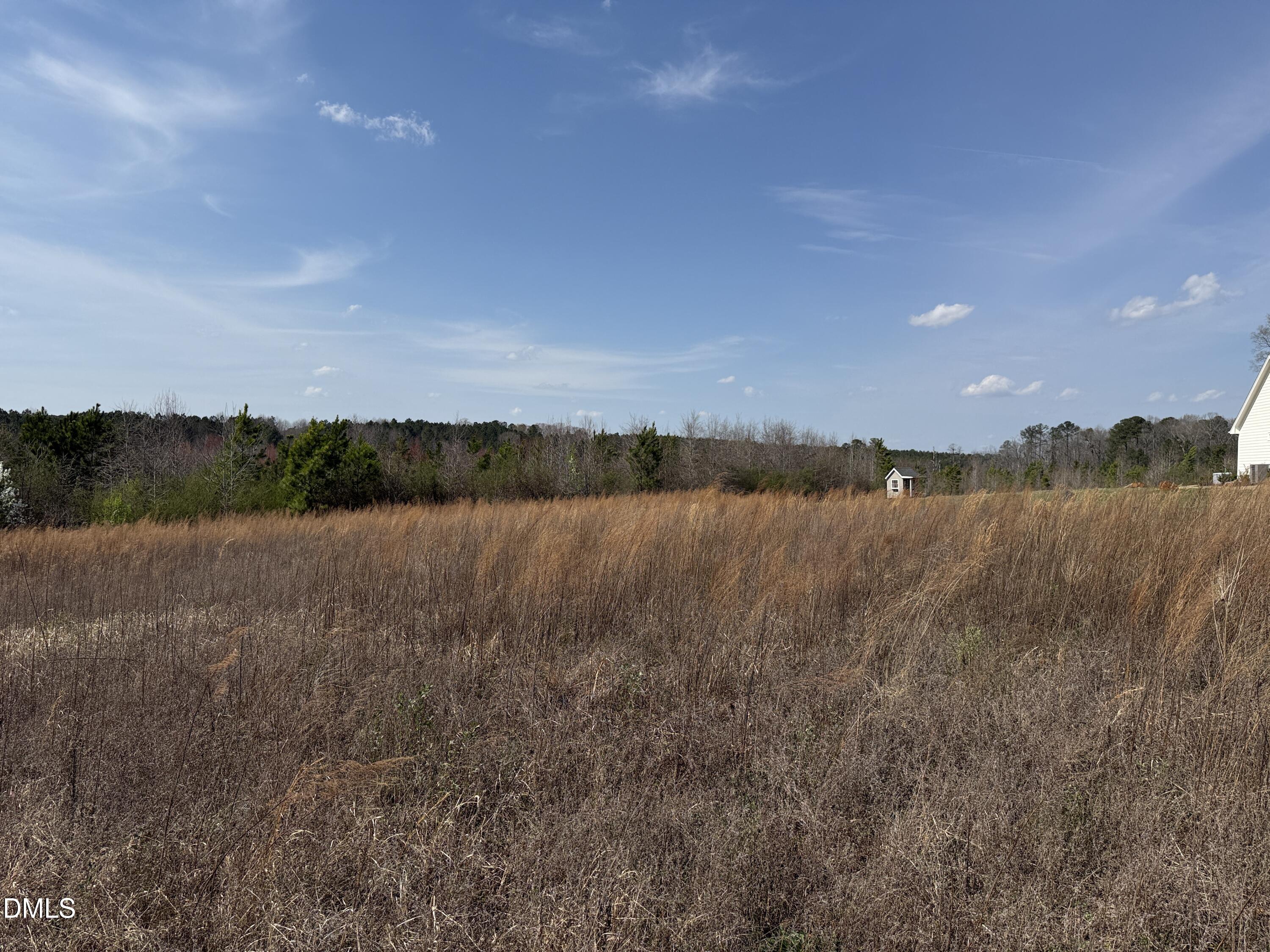 0 Burgess Road Middlesex, NC 27557 - Photo 6 of 11 a view of lake with green space