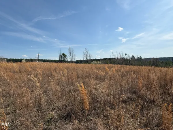 $250,000 | 0 Burgess Road, Middlesex, NC 27557