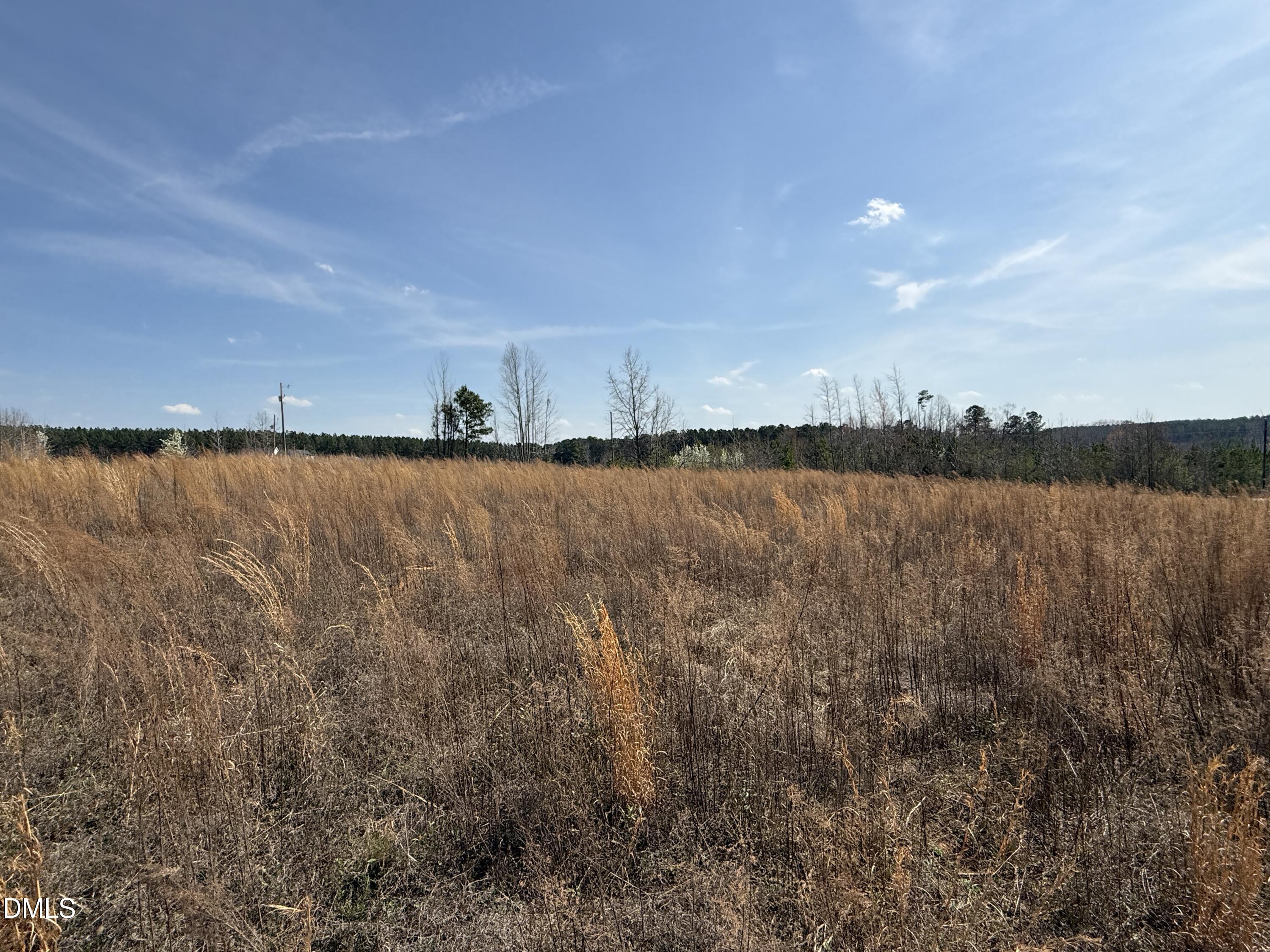 0 Burgess Road Middlesex, NC 27557 - Photo 7 of 11