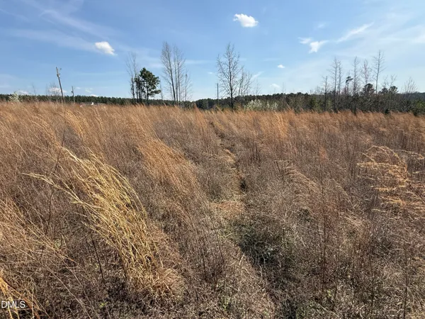 $250,000 | 0 Burgess Road, Middlesex, NC 27557