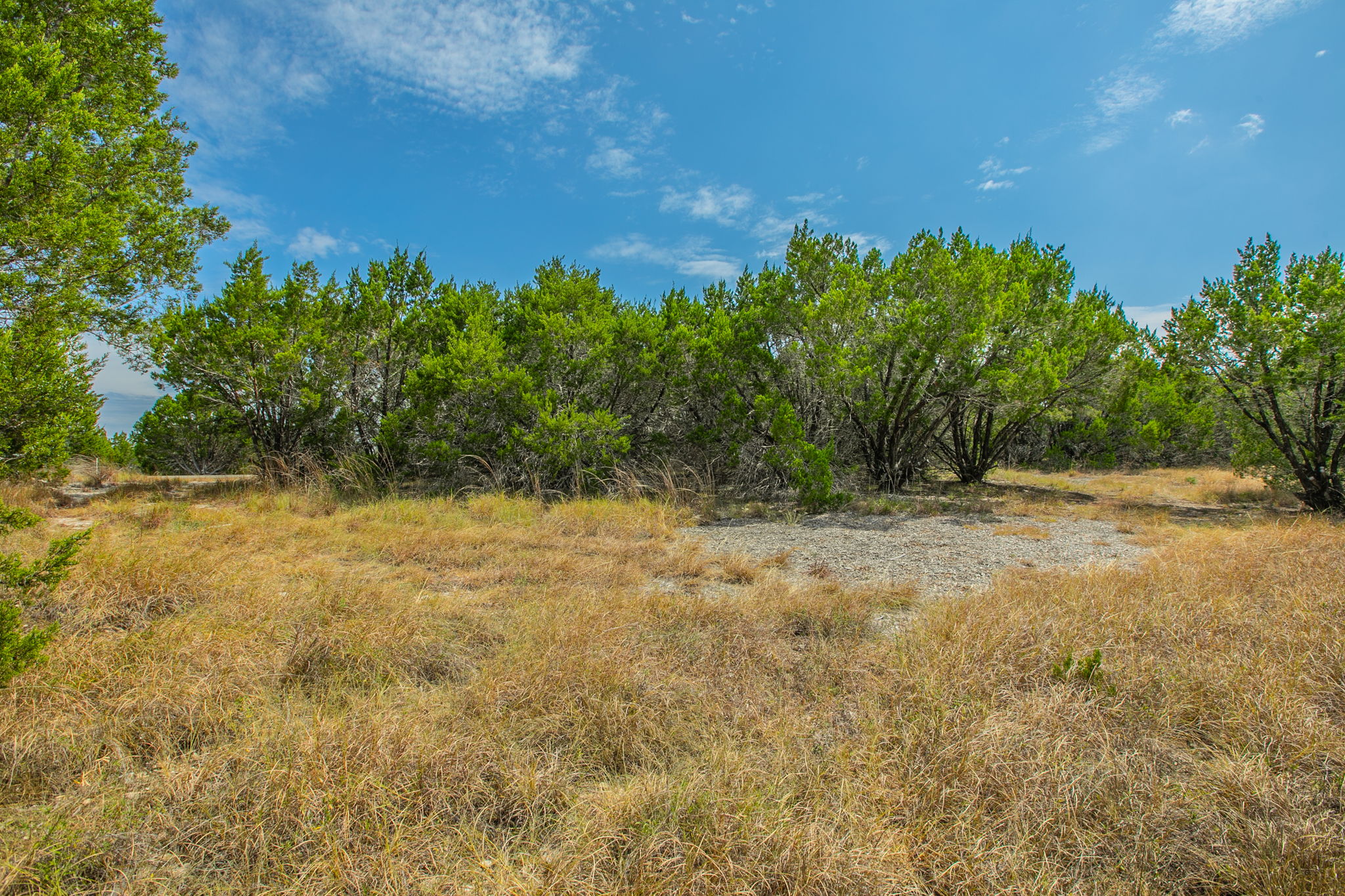 76 Balcones Ridge Way Bertram, TX 78605 - Photo 7 of 16 Mature trees frame a grassy, natural landscape under a blue sky.