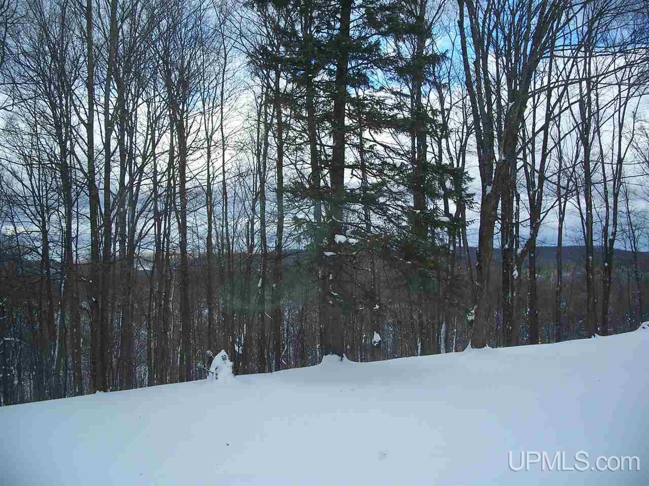 801 Plymouth Road Wakefield, MI 49968 - Photo 28 of 29 Gallery Image 28
