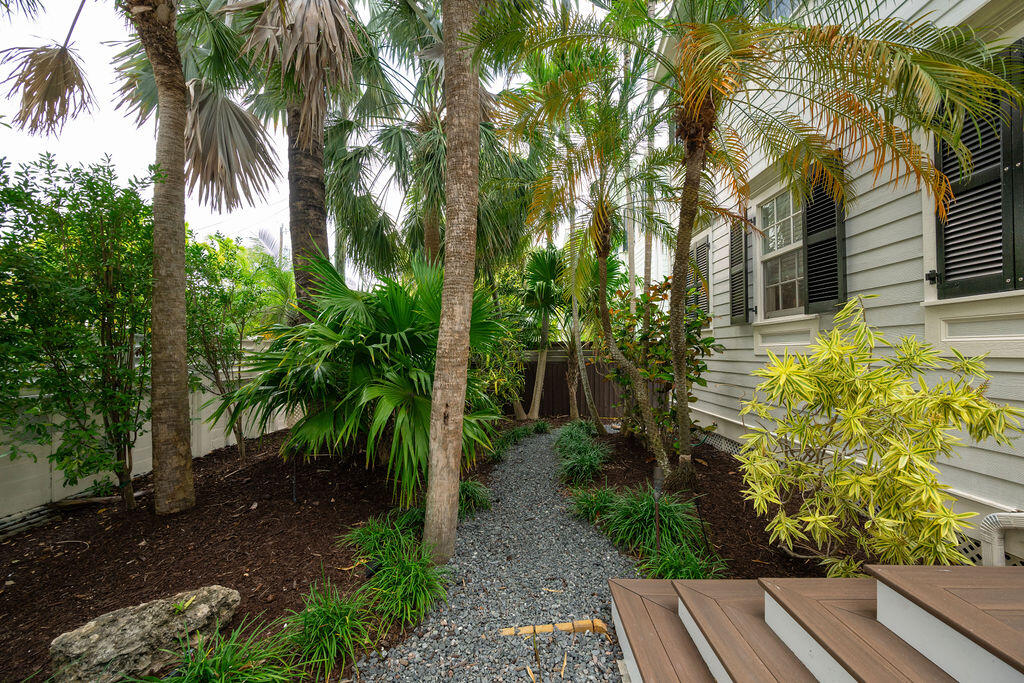 1320 South Street Key West, FL 33040 - Photo 3 of 36 a view of backyard with potted plants and large trees