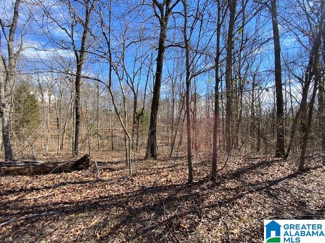 8751 Pine Mountain Road, Unit 36 & 37 Pinson, AL 35126 - Photo 1 of 1