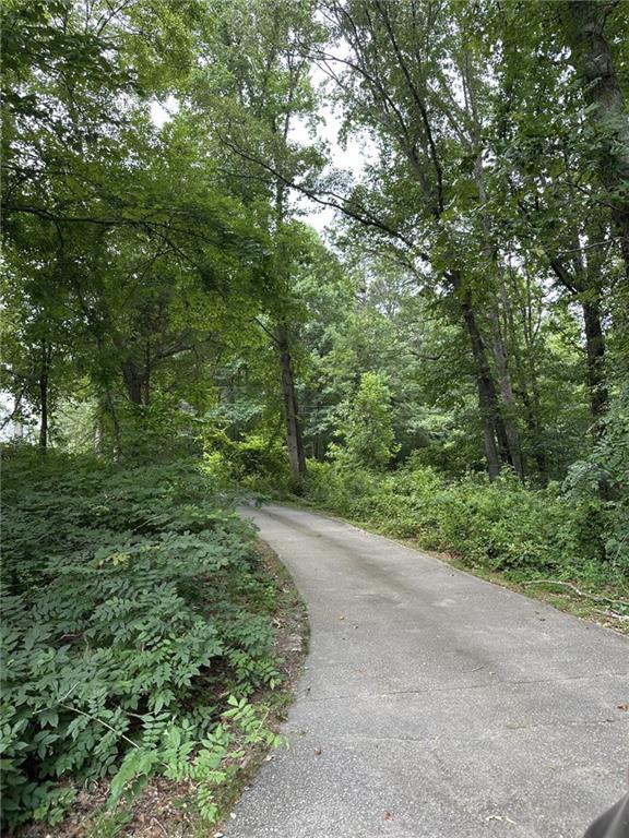 5565 Hog Mountain Road Flowery Branch, GA 30542 - Photo 5 of 5 a view of a forest with trees