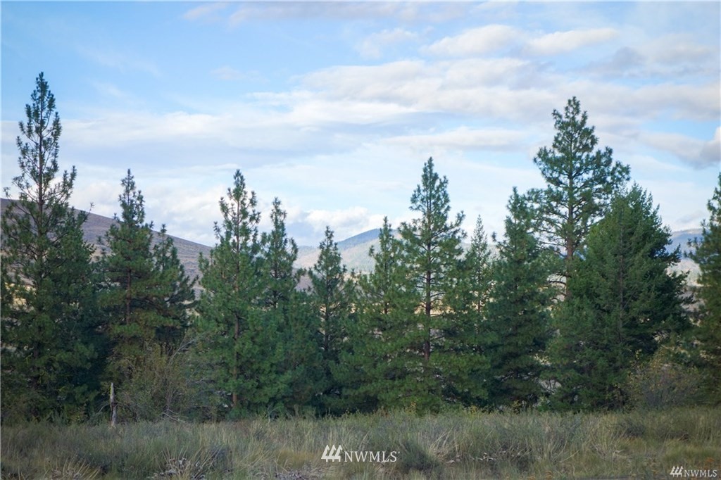0 Virginian Ridge Winthrop, WA 98862 - Photo 1 of 5 Gallery Image 1