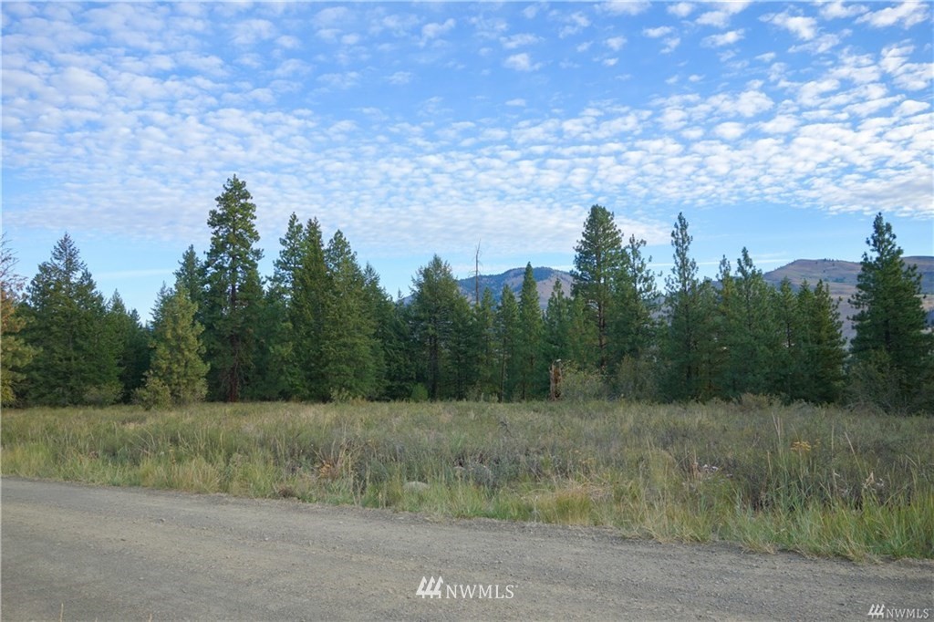 0 Virginian Ridge Winthrop, WA 98862 - Photo 2 of 5 Gallery Image 2