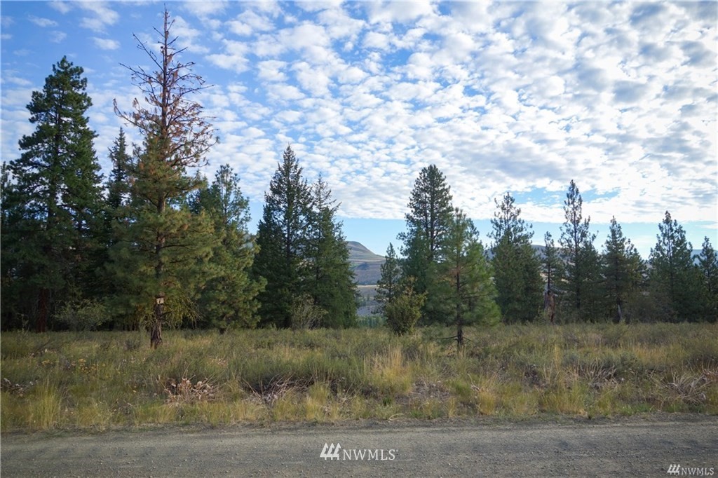 0 Virginian Ridge Winthrop, WA 98862 - Photo 3 of 5 Gallery Image 3