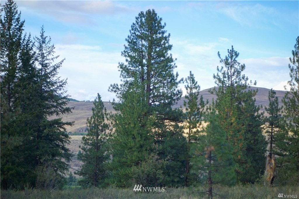 0 Virginian Ridge Winthrop, WA 98862 - Photo 5 of 5 Gallery Image 5