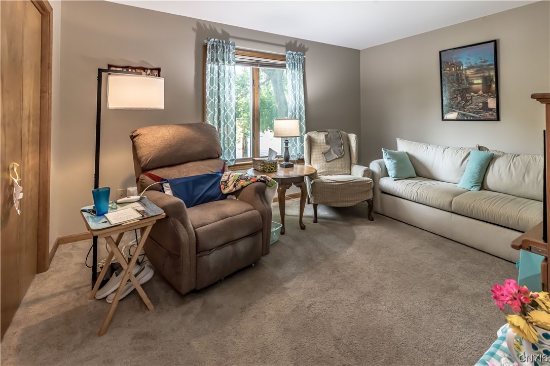 119 Spring Street Manlius, NY 13066 - Photo 24 of 50