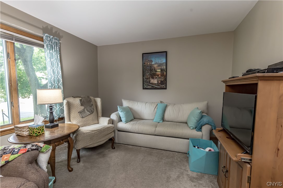 119 Spring Street Manlius, NY 13066 - Photo 25 of 50