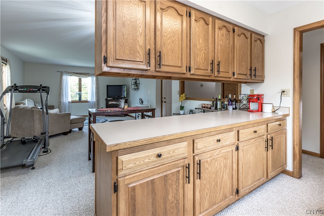 119 Spring Street Manlius, NY 13066 - Photo 37 of 50