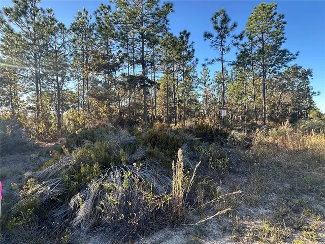 a view of outdoor space and a yard