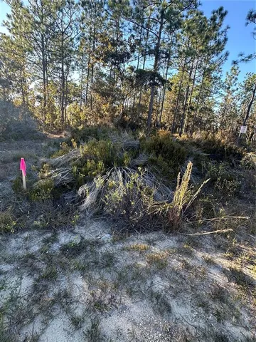 $14,999 | Northeast 150th Court, Unit 8, Williston, FL 32696