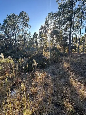 a view of a lake with a mountain in the background