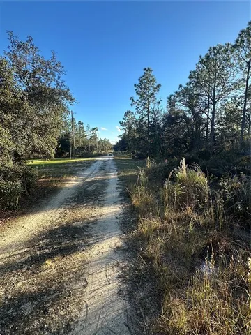 a view of a yard with plants and large trees