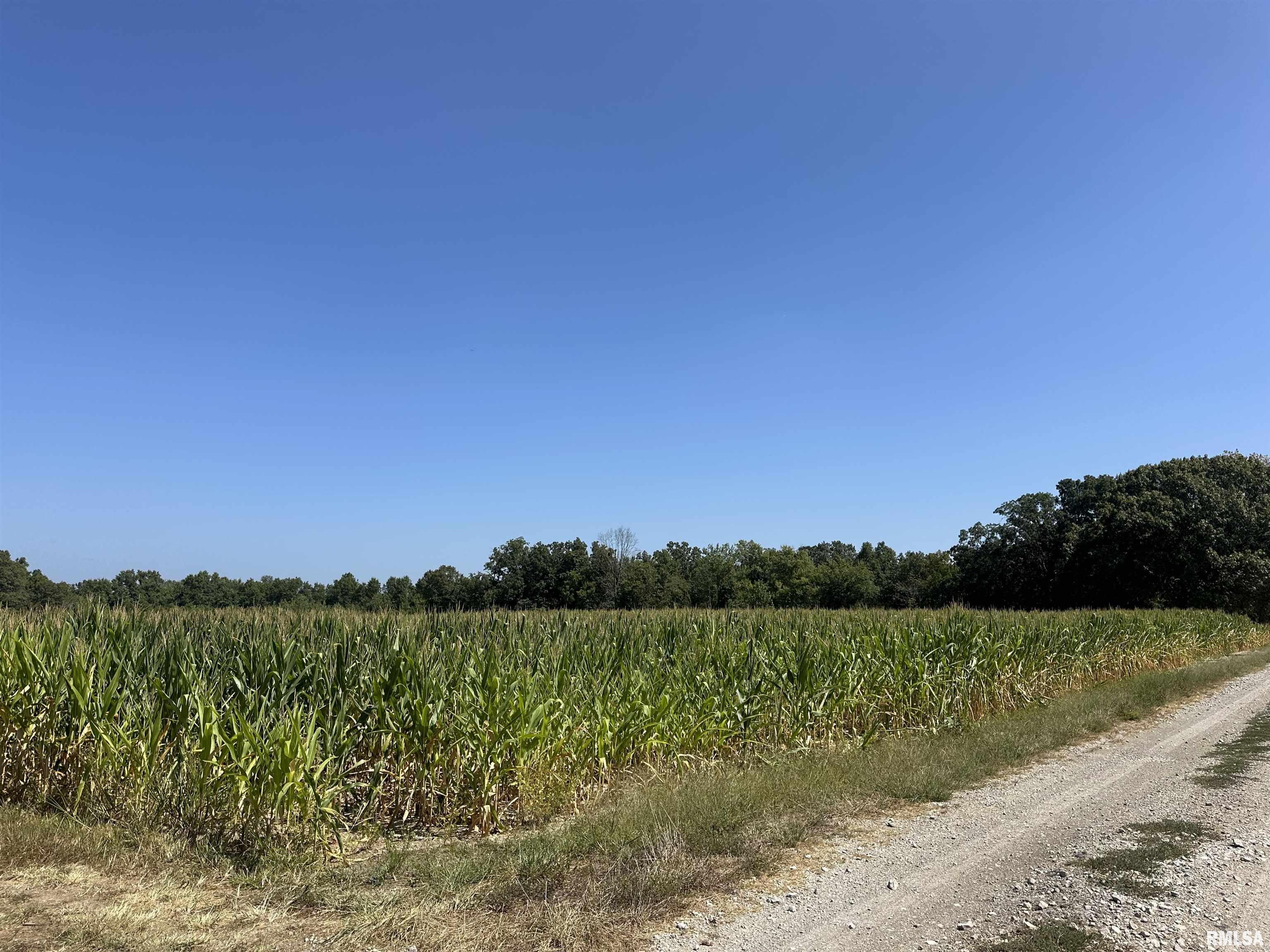 0 Airport Road Centralia, IL 62801 - Photo 1 of 4