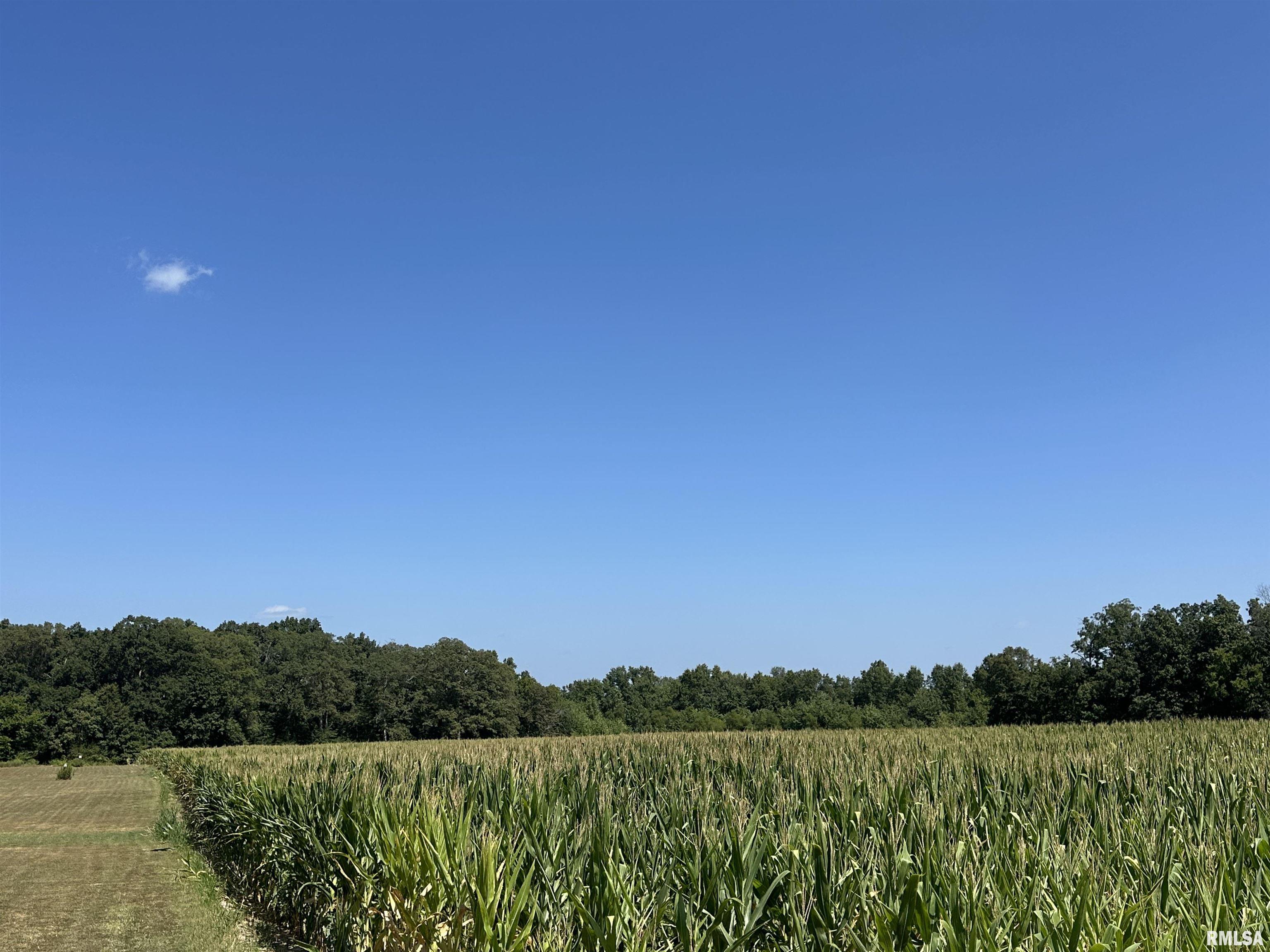 0 Airport Road Centralia, IL 62801 - Photo 2 of 4