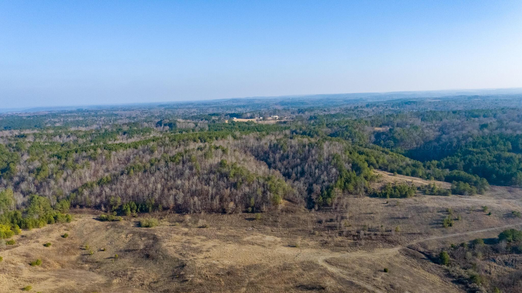 Browns Road Jasper, AL 35501 - Photo 12 of 18 Gallery Image 12