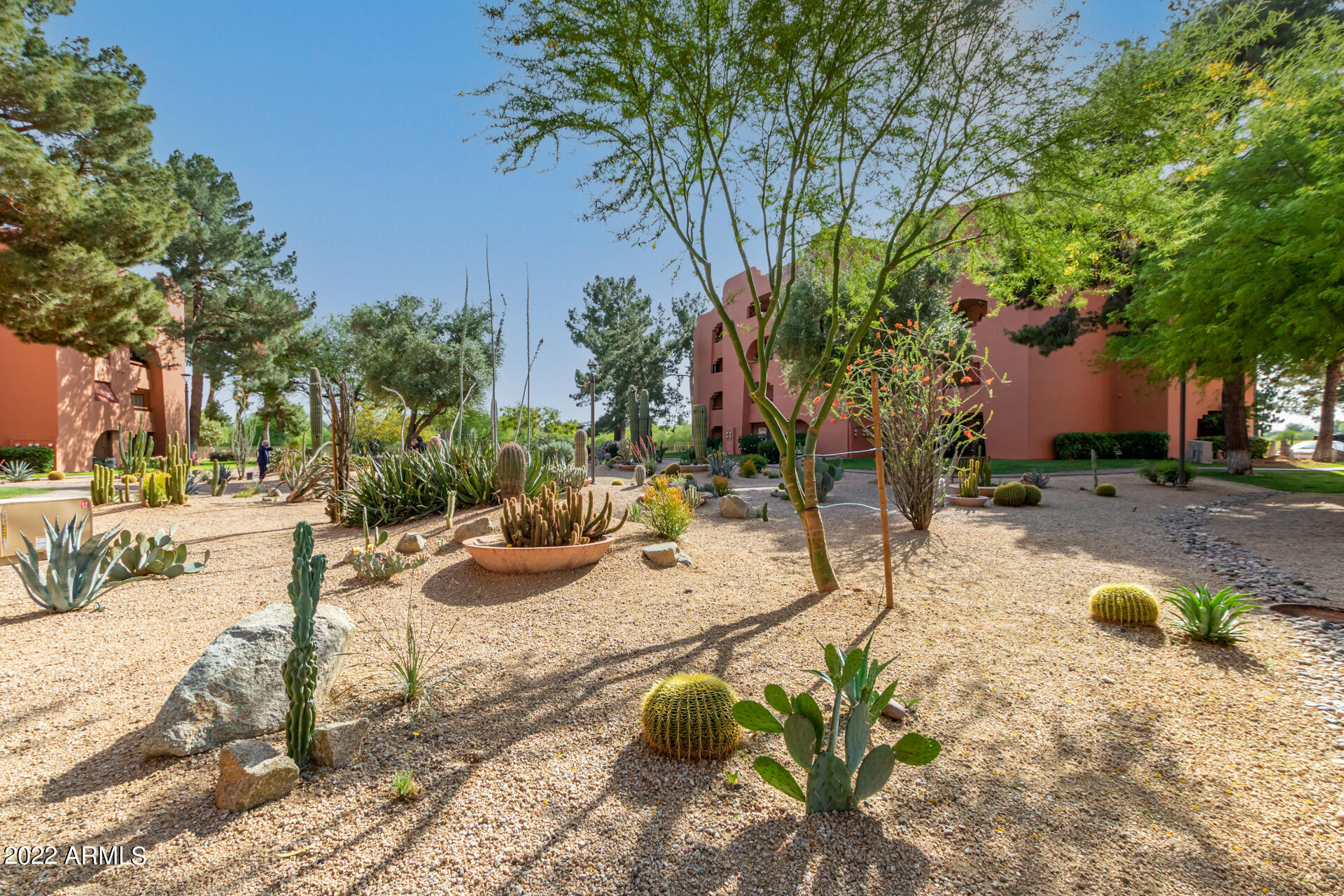 4303 East Cactus Road, Unit 415 Phoenix, AZ 85032 - Photo 31 of 47 Peaceful Cactus Garden