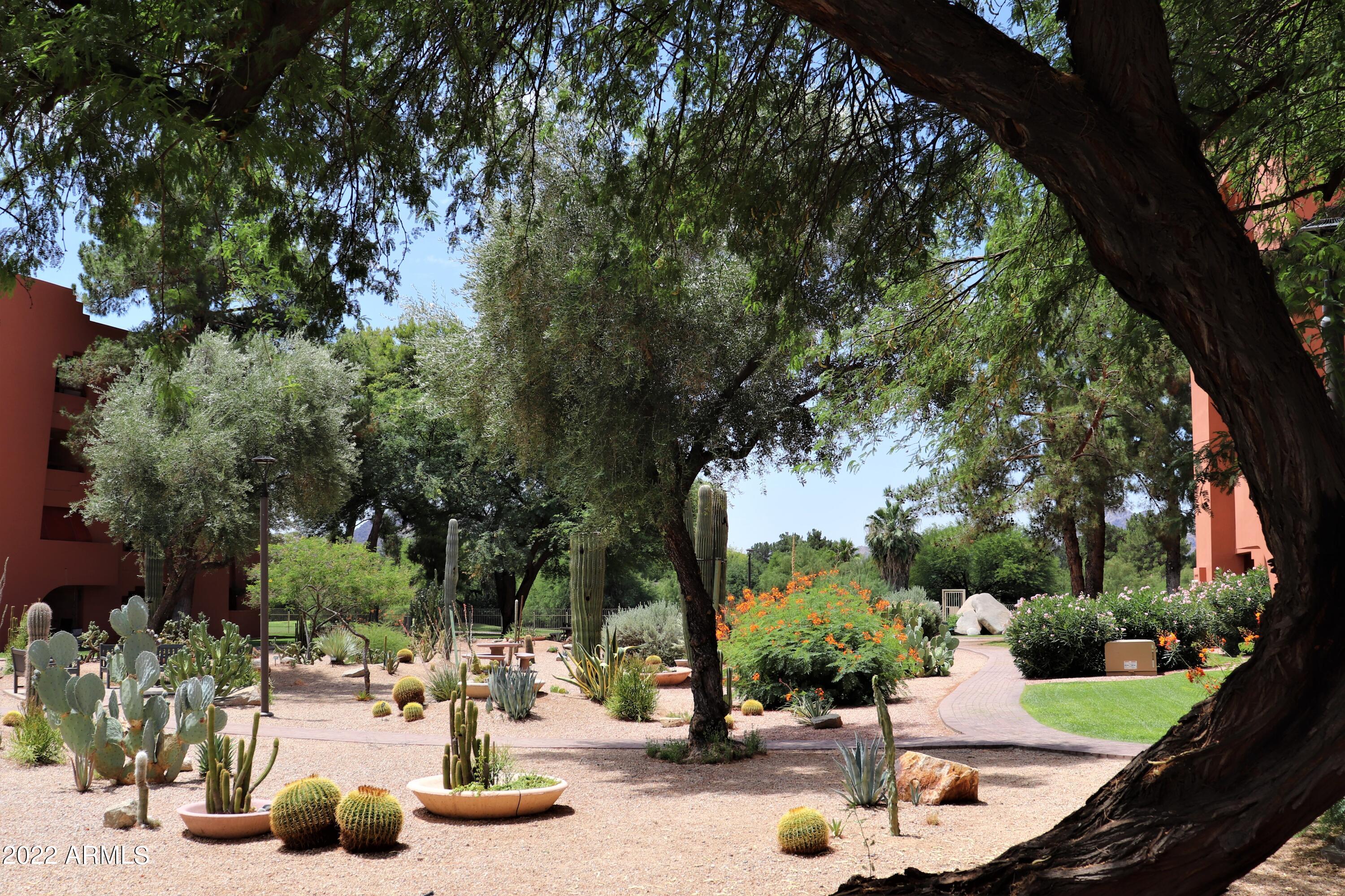 4303 East Cactus Road, Unit 415 Phoenix, AZ 85032 - Photo 34 of 47 Cactus Garden
