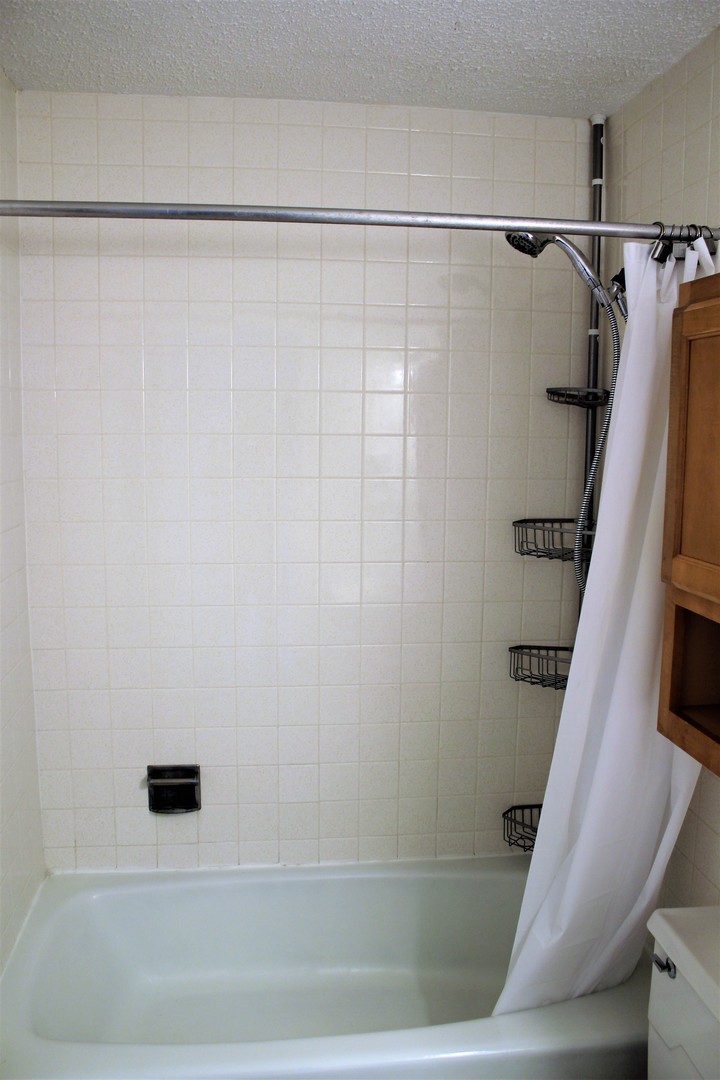 1043 South York Road, Unit 301 Bensenville, IL 60106 - Photo 9 of 14