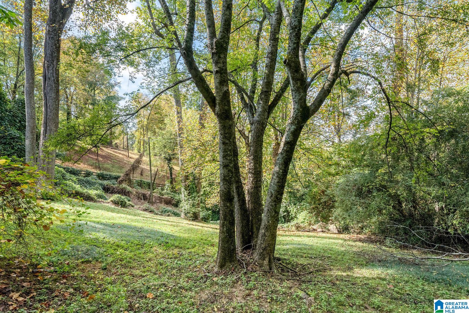 2868 Shook Hill Road Birmingham, AL 35223 - Photo 83 of 98
