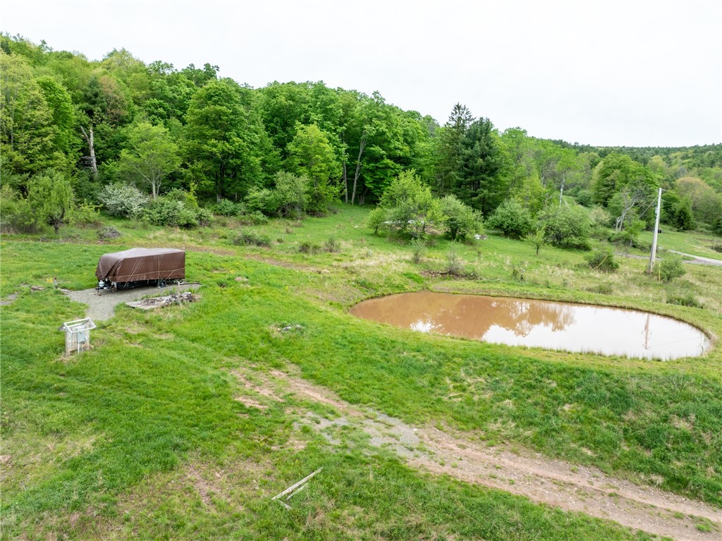 471 Frank Slawson Road Oneonta, NY 13820 - Photo 6 of 22