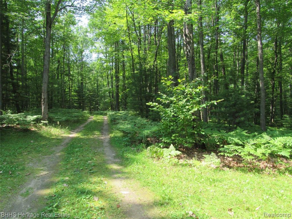 561 Ogemaw Road West Branch, MI 48661 - Photo 29 of 38