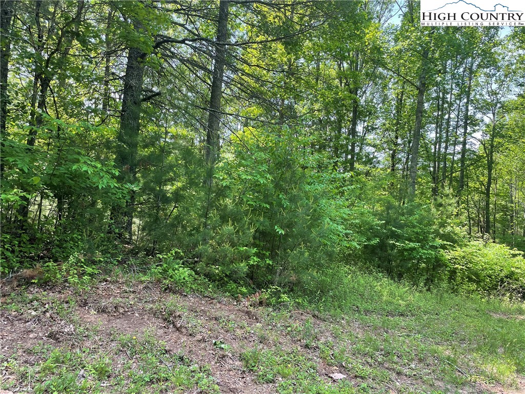 Lot 66 Daves Connector Road Jefferson, NC 28640 - Photo 12 of 20 Gallery Image 12