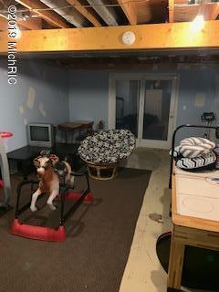 7776 Centerline Road Saranac, MI 48881 - Photo 50 of 72 IMG_8019 (3)