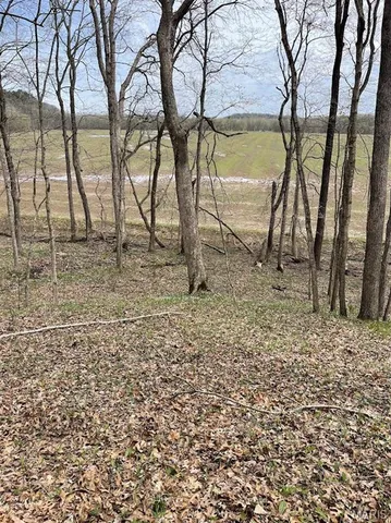 $650,000 | 66.9 Acres Highway, Union, MO 63084