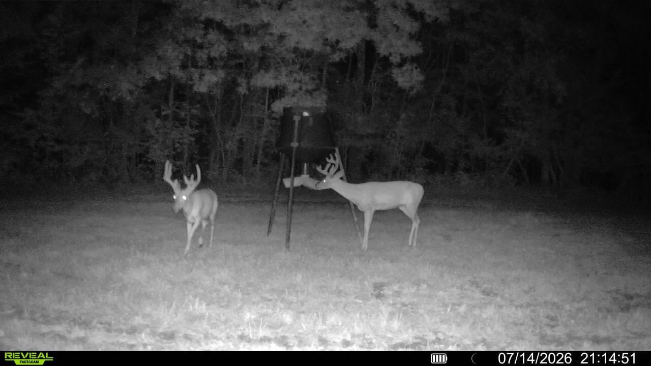 1134 Pisgah Road Smithland, KY 42081 - Photo 23 of 33 Trail Cam