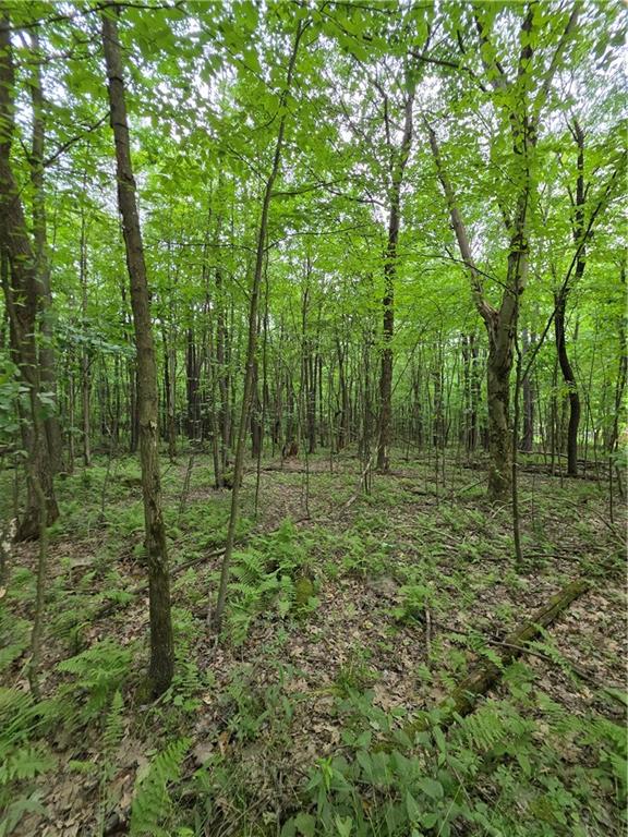 0 Silvis Road Homer City, PA 15748 - Photo 4 of 13