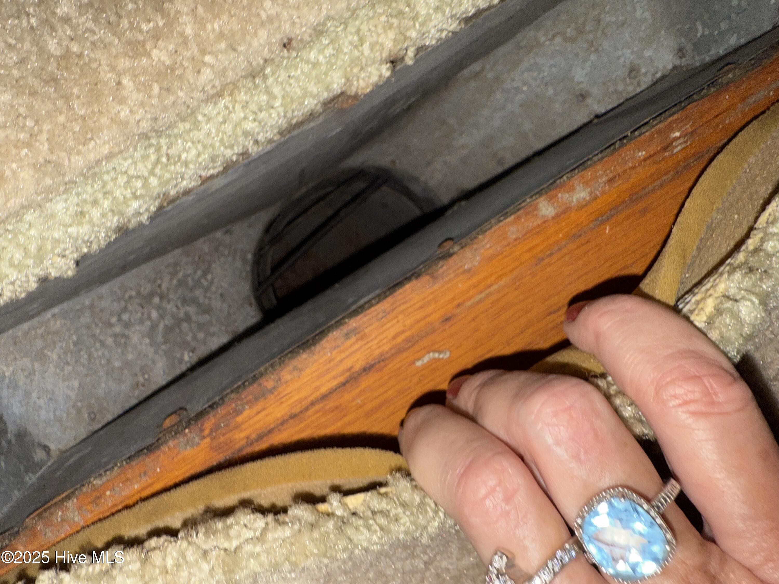 1312 Cedar Landing Road Windsor, NC 27983 - Photo 22 of 23 A peak of oak floors