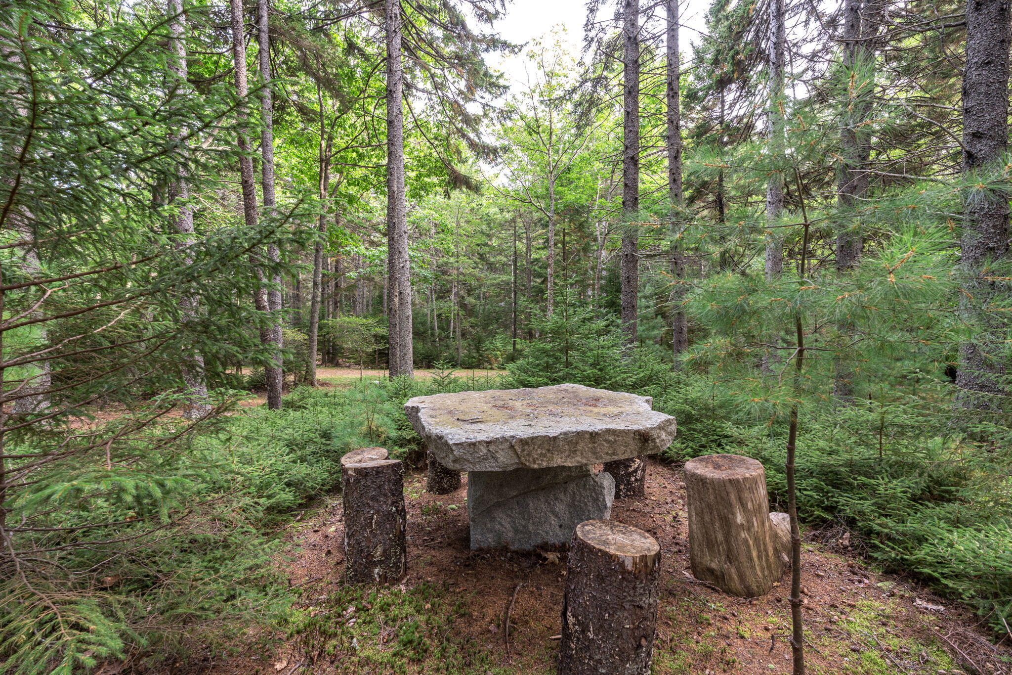 31 Harbor Road Brooksville, ME 04617 - Photo 110 of 126 Gorgeous Trails