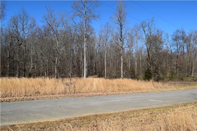 12 Spring Meadows Lane Morrison, TN 37357 - Photo 1 of 2