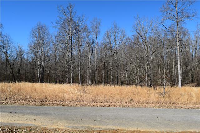 12 Spring Meadows Lane Morrison, TN 37357 - Photo 2 of 2